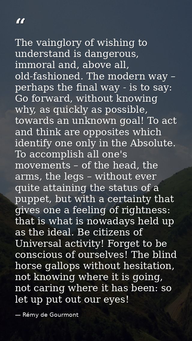 The vainglory of wishing to understand is dangerous, immoral and, above all, old-fashioned. The modern way – perhaps the — Rémy de Gourmont