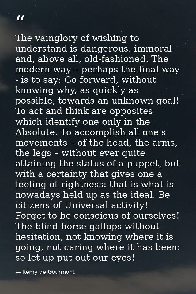 The vainglory of wishing to understand is dangerous, immoral and, above all, old-fashioned. The modern way – perhaps the — Rémy de Gourmont