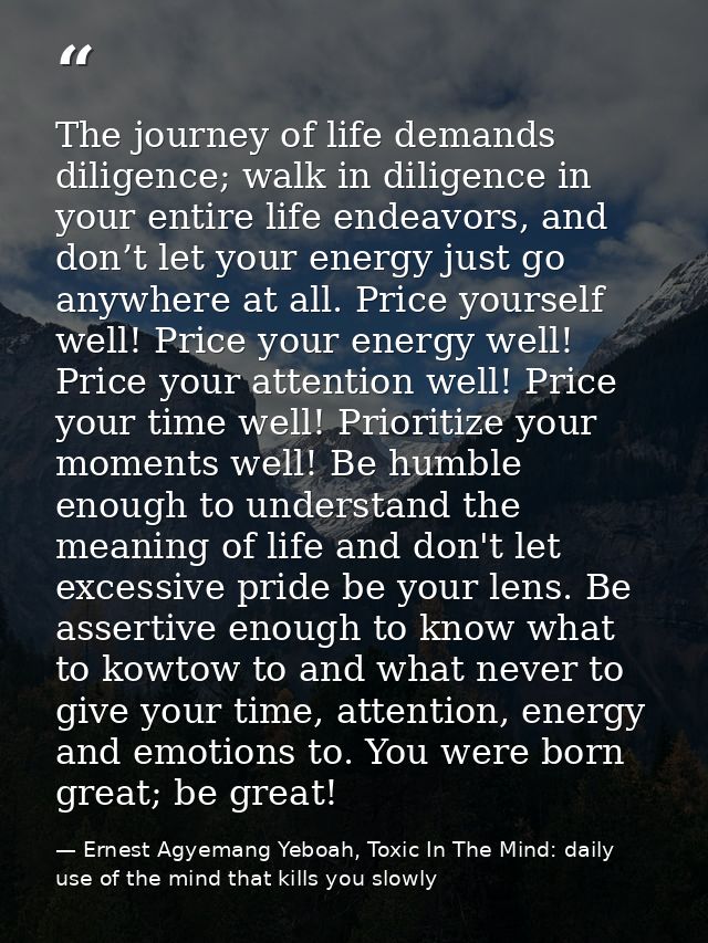 The journey of life demands diligence; walk in diligence in your entire life endeavors, and don’t let your energy just g — Ernest Agyemang Yeboah, Toxic In The Mind: daily use of the mind that kills you slowly