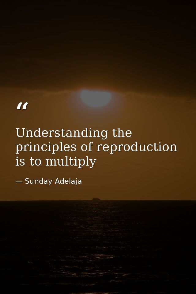 Understanding the principles of reproduction is to multiply — Sunday Adelaja
