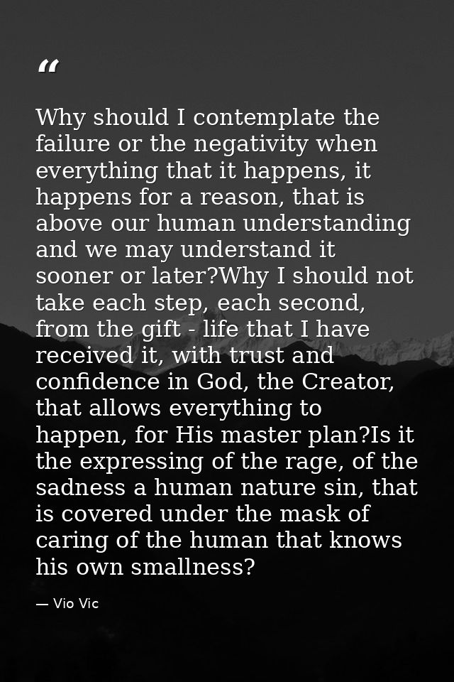 Why should I contemplate the failure or the negativity when everything that it happens, it happens for a reason, that is — Vio Vic