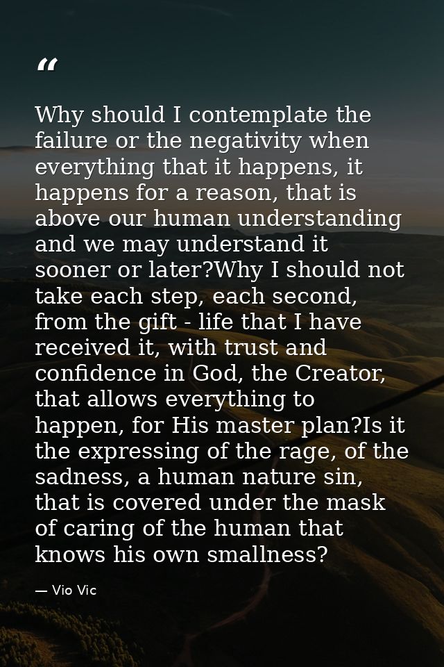 Why should I contemplate the failure or the negativity when everything that it happens, it happens for a reason, that is — Vio Vic