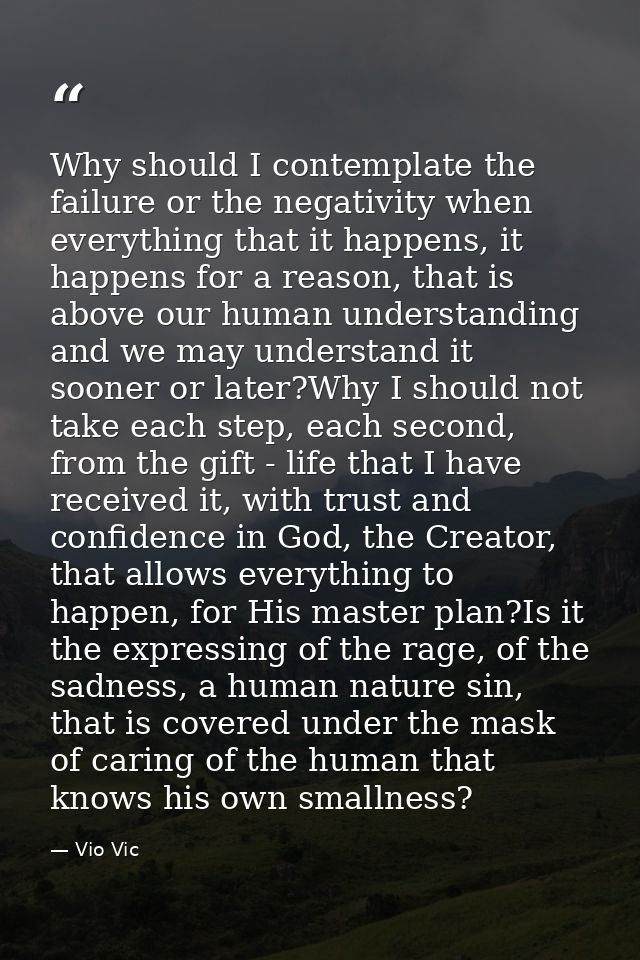 Why should I contemplate the failure or the negativity when everything that it happens, it happens for a reason, that is — Vio Vic