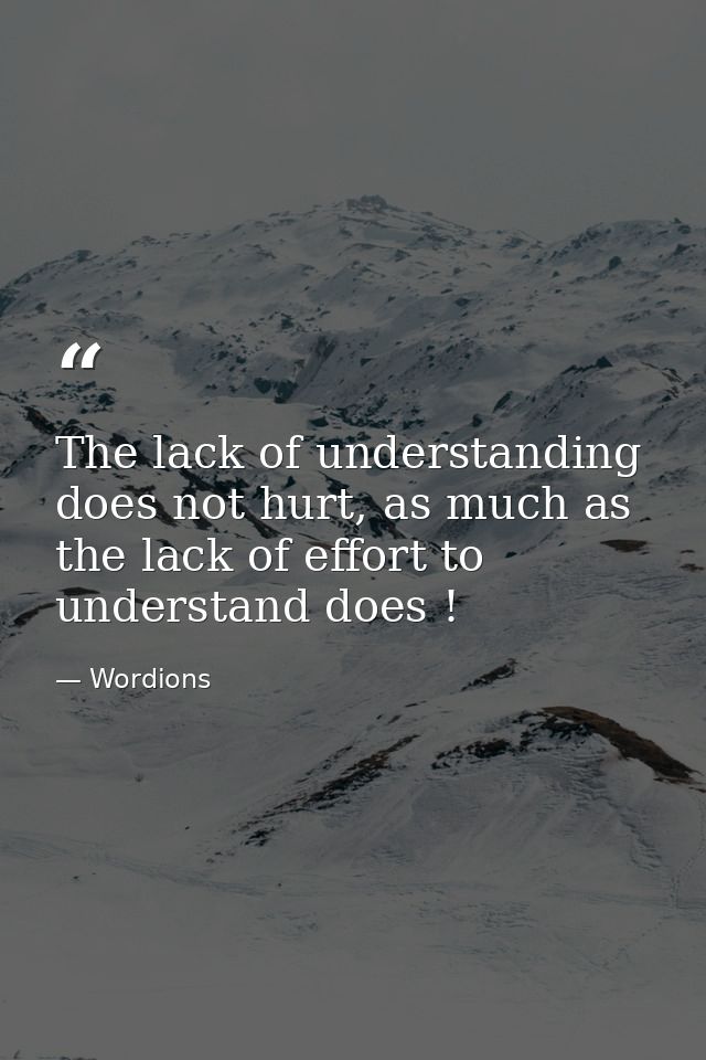 The lack of understanding does not hurt, as much as the lack of effort to understand does ! — Wordions