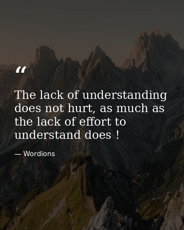 The lack of understanding does not hurt, as much as the lack of effort to understand does ! — Wordions