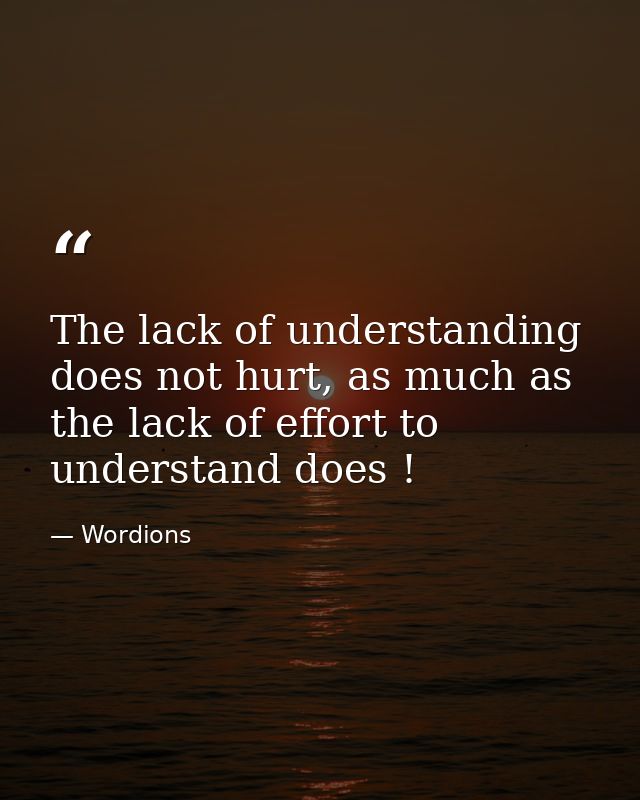 The lack of understanding does not hurt, as much as the lack of effort to understand does ! — Wordions