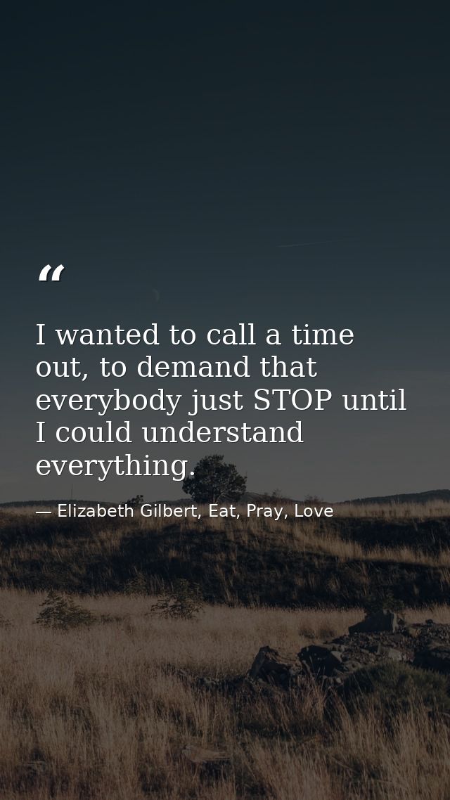 I wanted to call a time out, to demand that everybody just STOP until I could understand everything. — Elizabeth Gilbert, Eat, Pray, Love