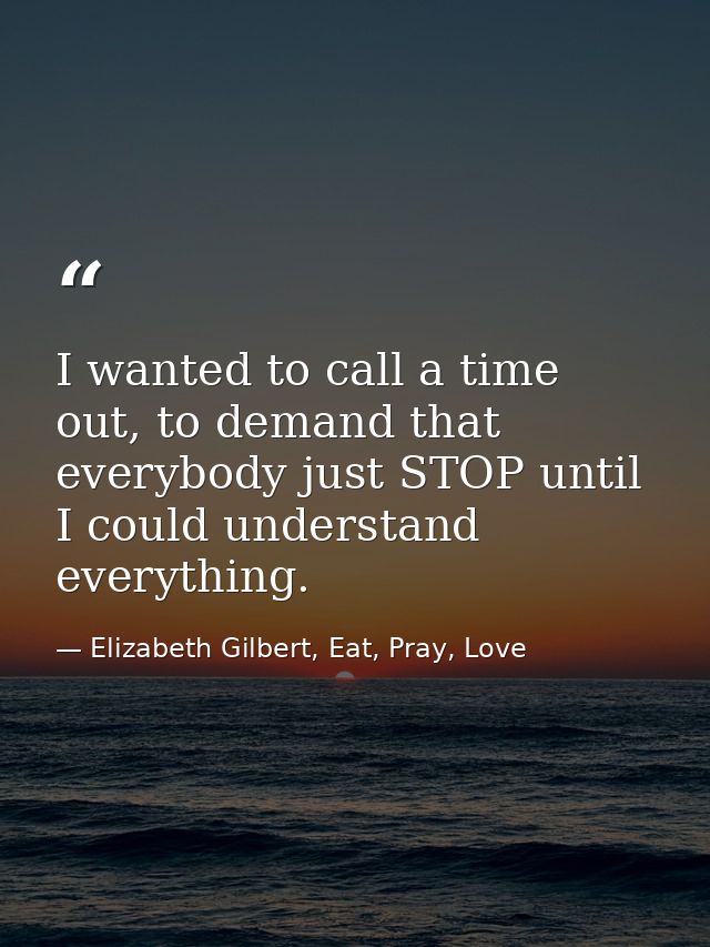 I wanted to call a time out, to demand that everybody just STOP until I could understand everything. — Elizabeth Gilbert, Eat, Pray, Love