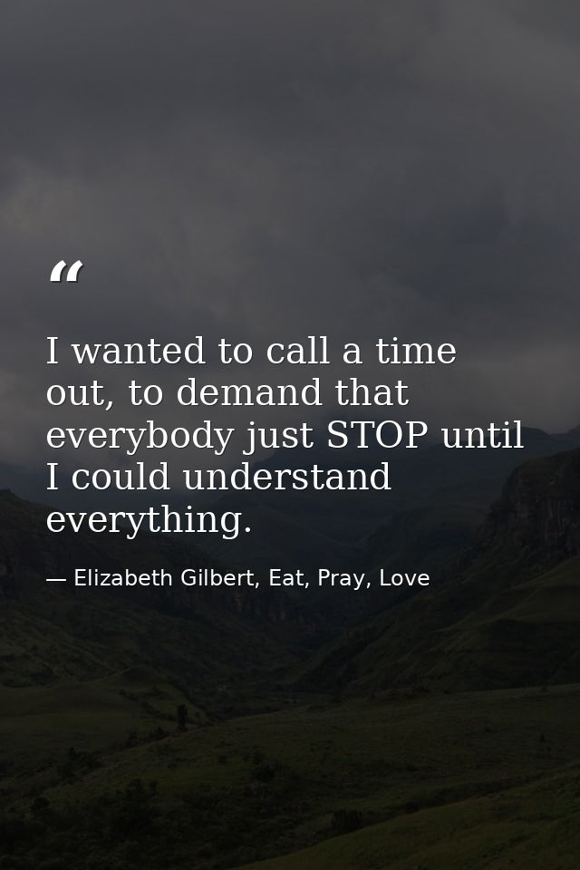 I wanted to call a time out, to demand that everybody just STOP until I could understand everything. — Elizabeth Gilbert, Eat, Pray, Love