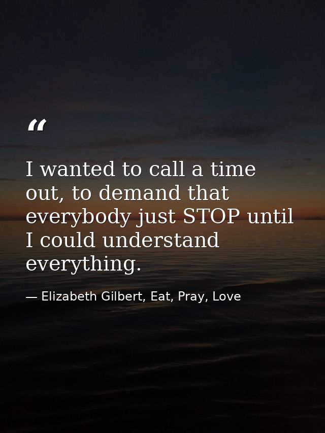 I wanted to call a time out, to demand that everybody just STOP until I could understand everything. — Elizabeth Gilbert, Eat, Pray, Love