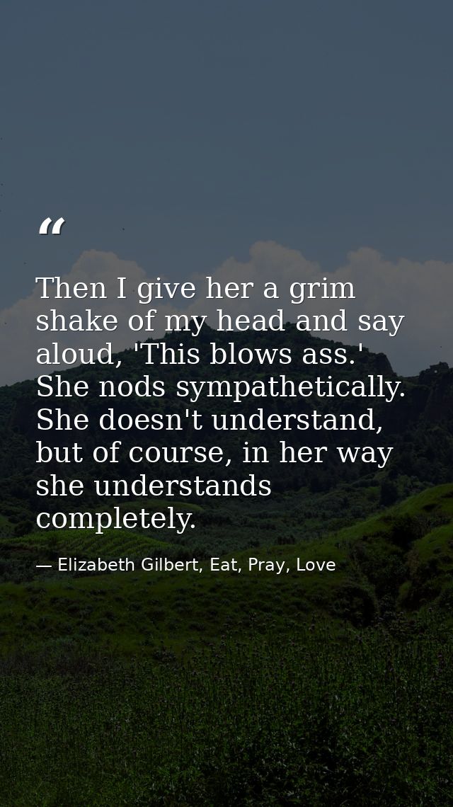 Then I give her a grim shake of my head and say aloud, 'This blows ass.' She nods sympathetically. She doesn't understan — Elizabeth Gilbert, Eat, Pray, Love