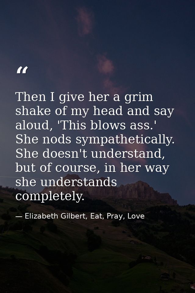 Then I give her a grim shake of my head and say aloud, 'This blows ass.' She nods sympathetically. She doesn't understan — Elizabeth Gilbert, Eat, Pray, Love