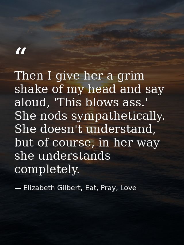 Then I give her a grim shake of my head and say aloud, 'This blows ass.' She nods sympathetically. She doesn't understan — Elizabeth Gilbert, Eat, Pray, Love