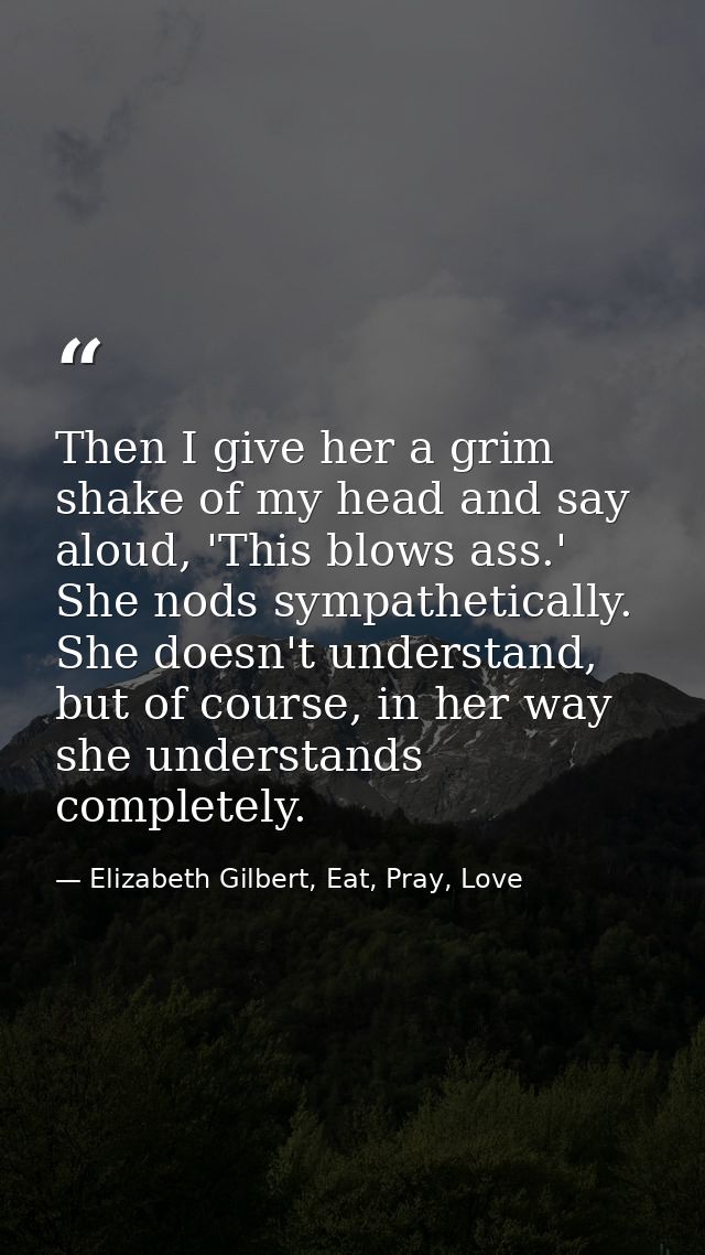 Then I give her a grim shake of my head and say aloud, 'This blows ass.' She nods sympathetically. She doesn't understan — Elizabeth Gilbert, Eat, Pray, Love
