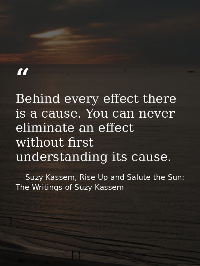 Behind every effect there is a cause. You can never eliminate an effect without first understanding its cause. — Suzy Kassem, Rise Up and Salute the Sun: The Writings of Suzy Kassem