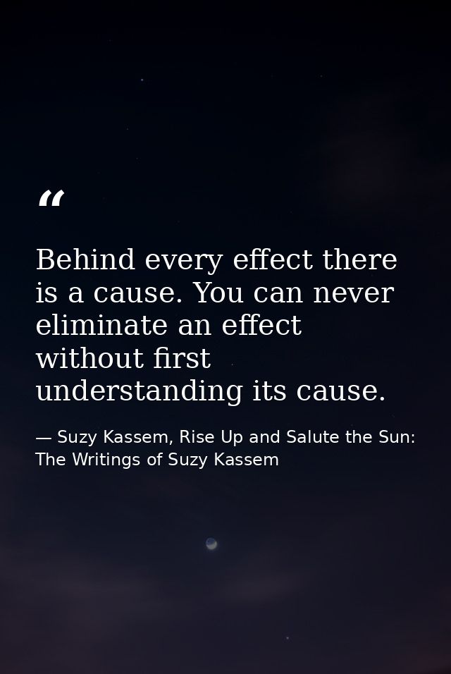 Behind every effect there is a cause. You can never eliminate an effect without first understanding its cause. — Suzy Kassem, Rise Up and Salute the Sun: The Writings of Suzy Kassem
