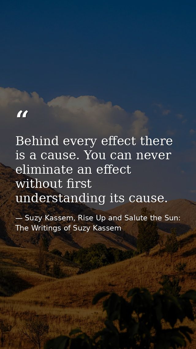 Behind every effect there is a cause. You can never eliminate an effect without first understanding its cause. — Suzy Kassem, Rise Up and Salute the Sun: The Writings of Suzy Kassem
