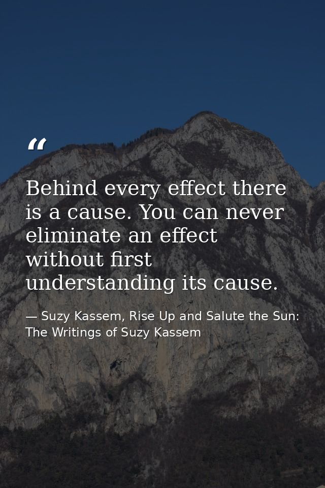 Behind every effect there is a cause. You can never eliminate an effect without first understanding its cause. — Suzy Kassem, Rise Up and Salute the Sun: The Writings of Suzy Kassem