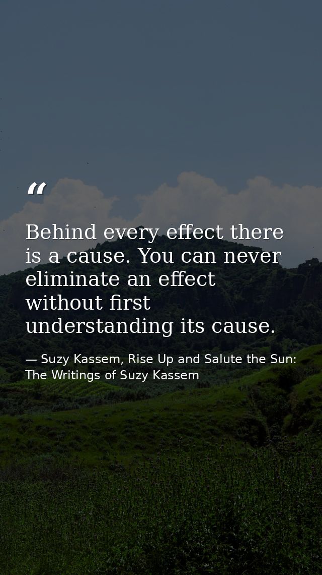 Behind every effect there is a cause. You can never eliminate an effect without first understanding its cause. — Suzy Kassem, Rise Up and Salute the Sun: The Writings of Suzy Kassem