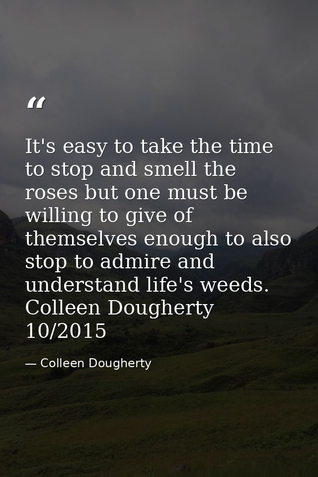 It's easy to take the time to stop and smell the roses but one must be willing to give of themselves enough to also stop — Colleen Dougherty