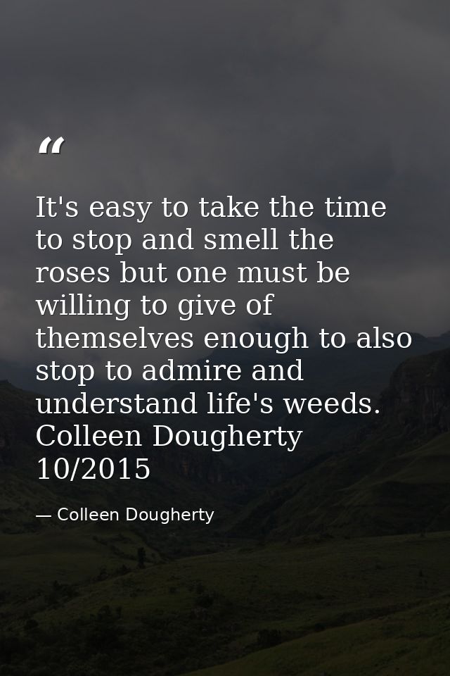 It's easy to take the time to stop and smell the roses but one must be willing to give of themselves enough to also stop — Colleen Dougherty