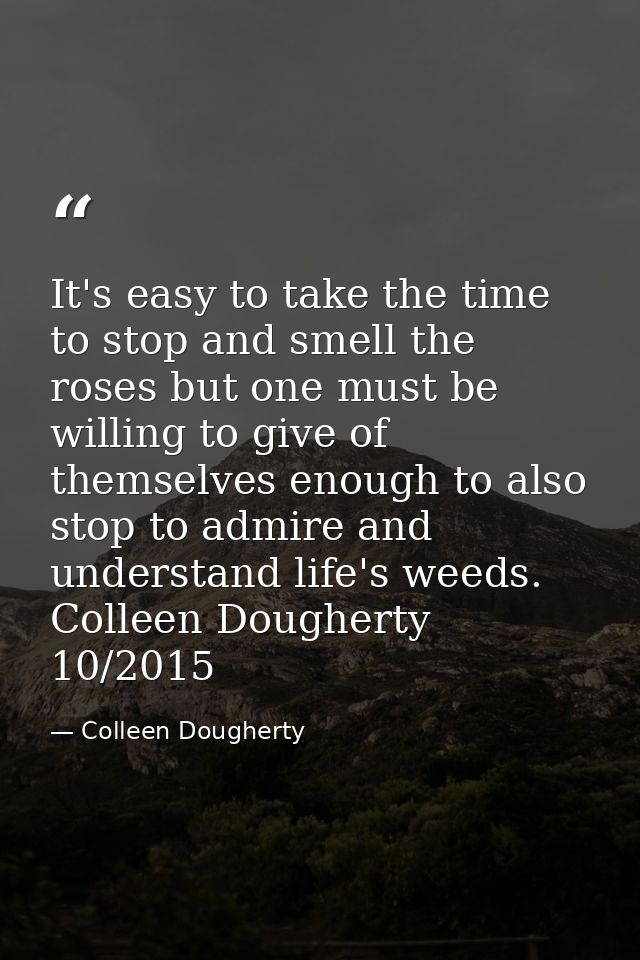 It's easy to take the time to stop and smell the roses but one must be willing to give of themselves enough to also stop — Colleen Dougherty