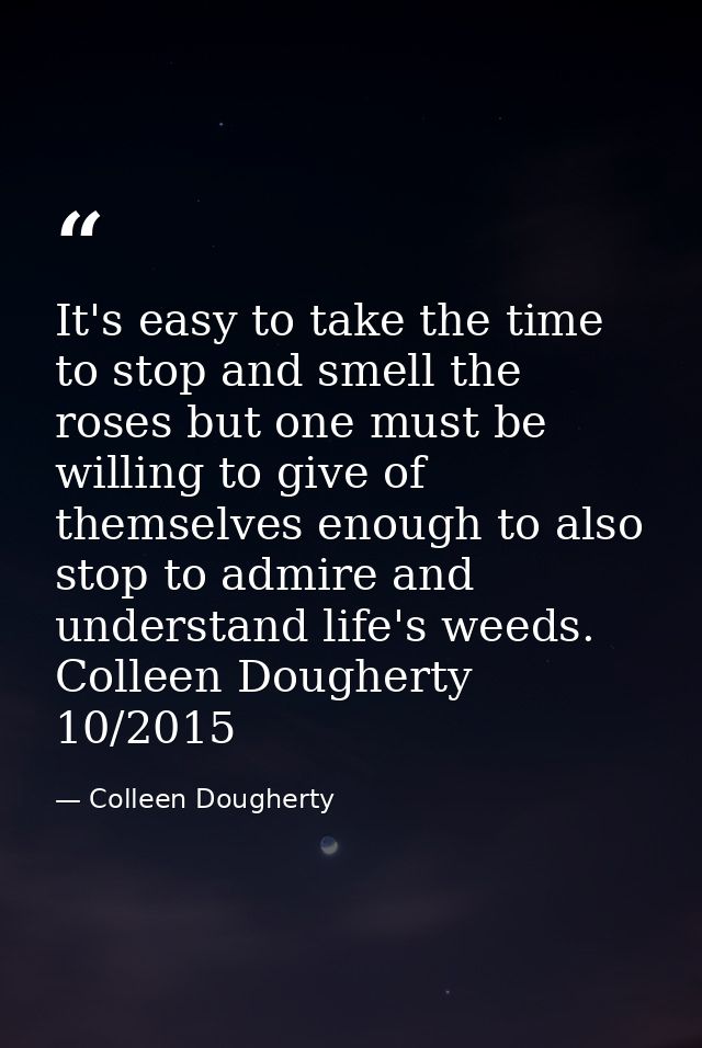 It's easy to take the time to stop and smell the roses but one must be willing to give of themselves enough to also stop — Colleen Dougherty