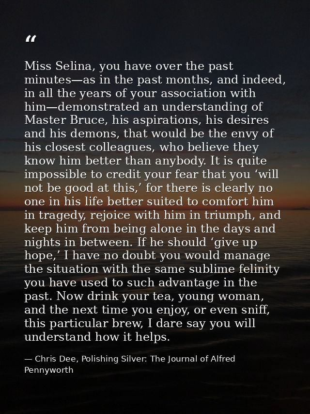 Miss Selina, you have over the past minutes—as in the past months, and indeed, in all the years of your association with — Chris Dee, Polishing Silver: The Journal of Alfred Pennyworth
