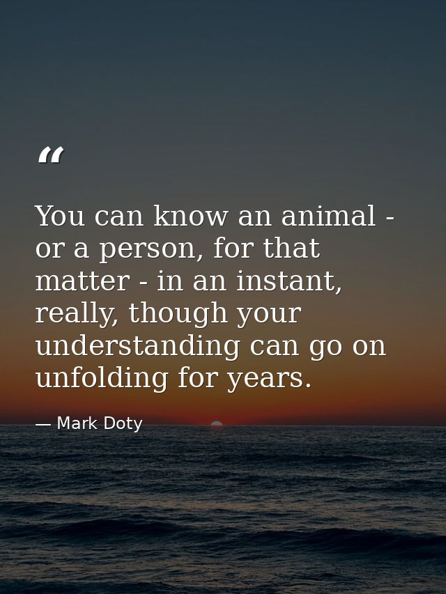You can know an animal - or a person, for that matter - in an instant, really, though your understanding can go on unfol — Mark Doty
