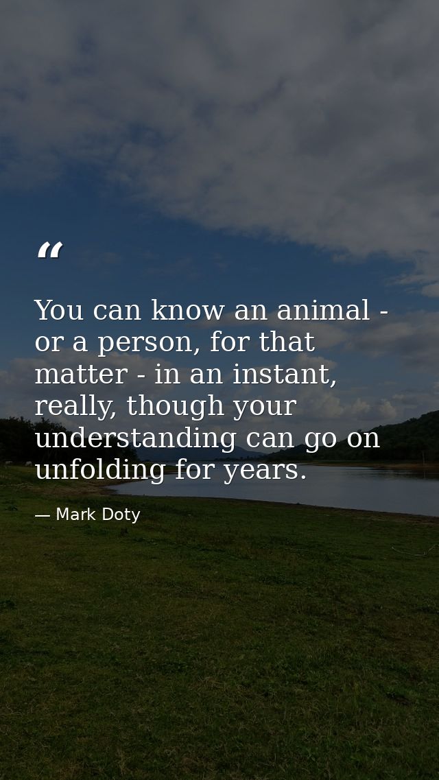 You can know an animal - or a person, for that matter - in an instant, really, though your understanding can go on unfol — Mark Doty