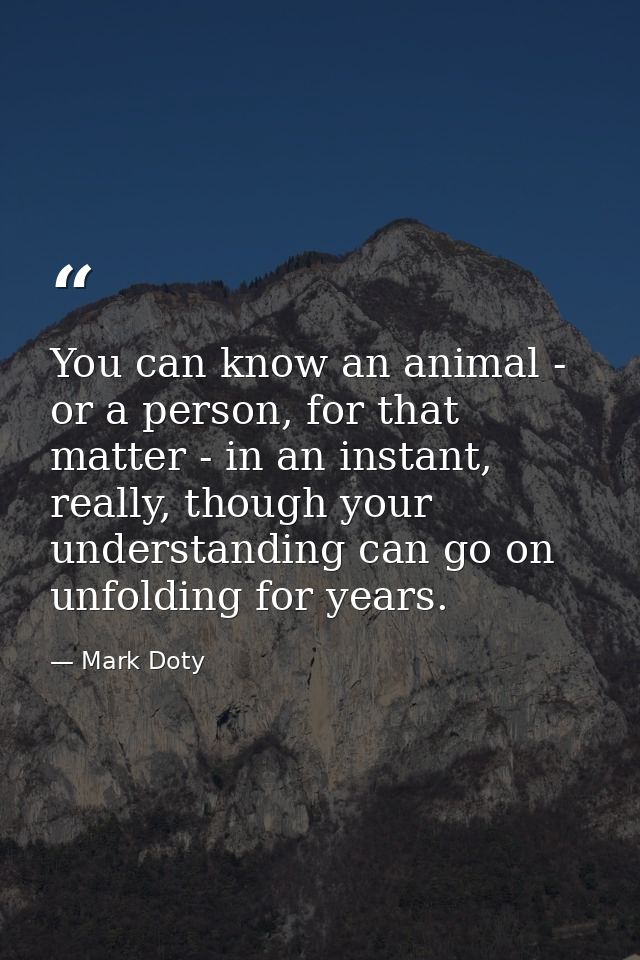 You can know an animal - or a person, for that matter - in an instant, really, though your understanding can go on unfol — Mark Doty