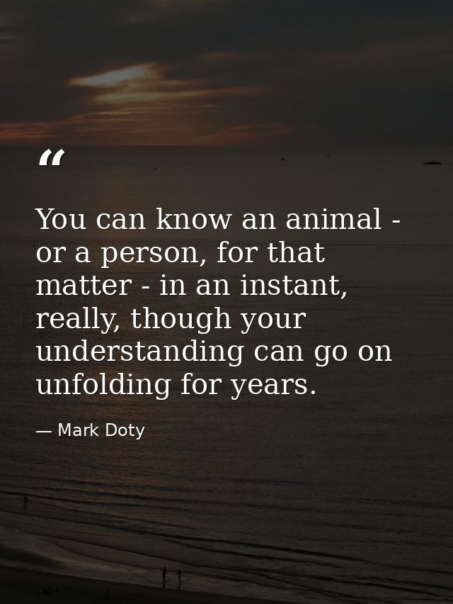 You can know an animal - or a person, for that matter - in an instant, really, though your understanding can go on unfol — Mark Doty