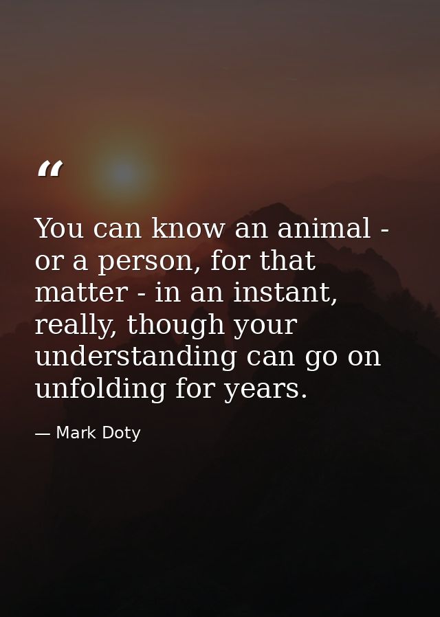 You can know an animal - or a person, for that matter - in an instant, really, though your understanding can go on unfol — Mark Doty