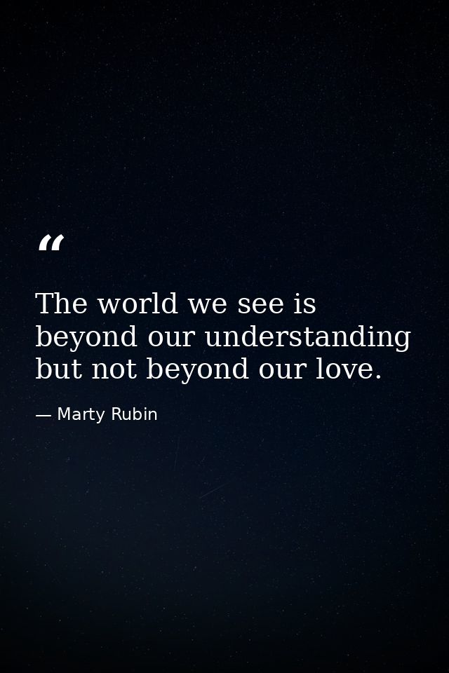The world we see is beyond our understanding but not beyond our love. — Marty Rubin