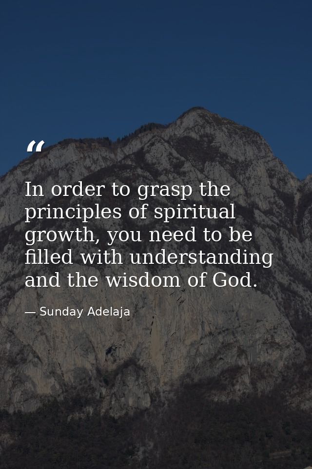 In order to grasp the principles of spiritual growth, you need to be filled with understanding and the wisdom of God. — Sunday Adelaja