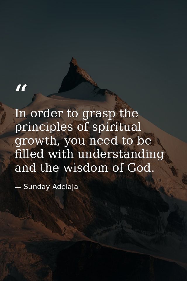 In order to grasp the principles of spiritual growth, you need to be filled with understanding and the wisdom of God. — Sunday Adelaja
