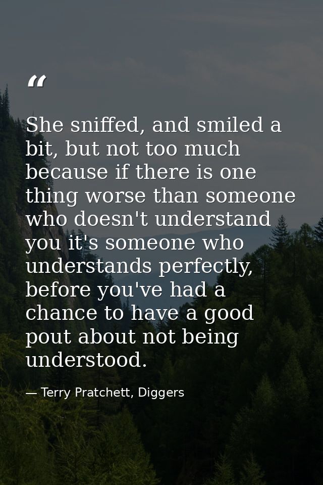 She sniffed, and smiled a bit, but not too much because if there is one thing worse than someone who doesn't understand  — Terry Pratchett, Diggers