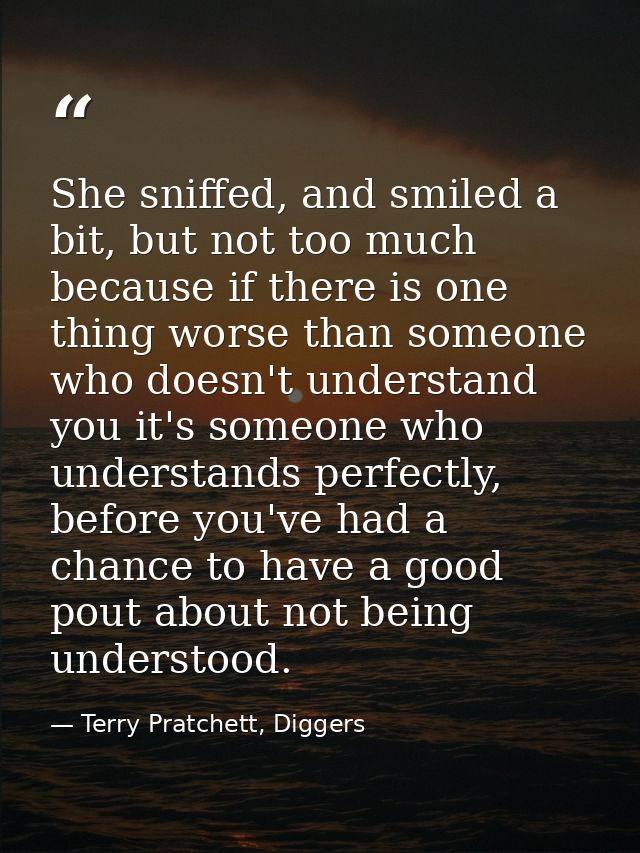 She sniffed, and smiled a bit, but not too much because if there is one thing worse than someone who doesn't understand  — Terry Pratchett, Diggers