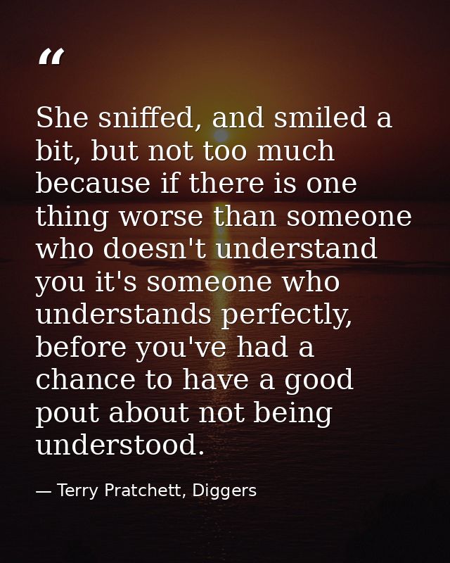 She sniffed, and smiled a bit, but not too much because if there is one thing worse than someone who doesn't understand  — Terry Pratchett, Diggers