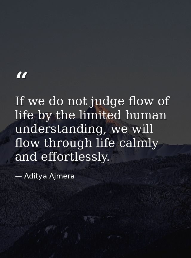 If we do not judge flow of life by the limited human understanding, we will flow through life calmly and effortlessly. — Aditya Ajmera