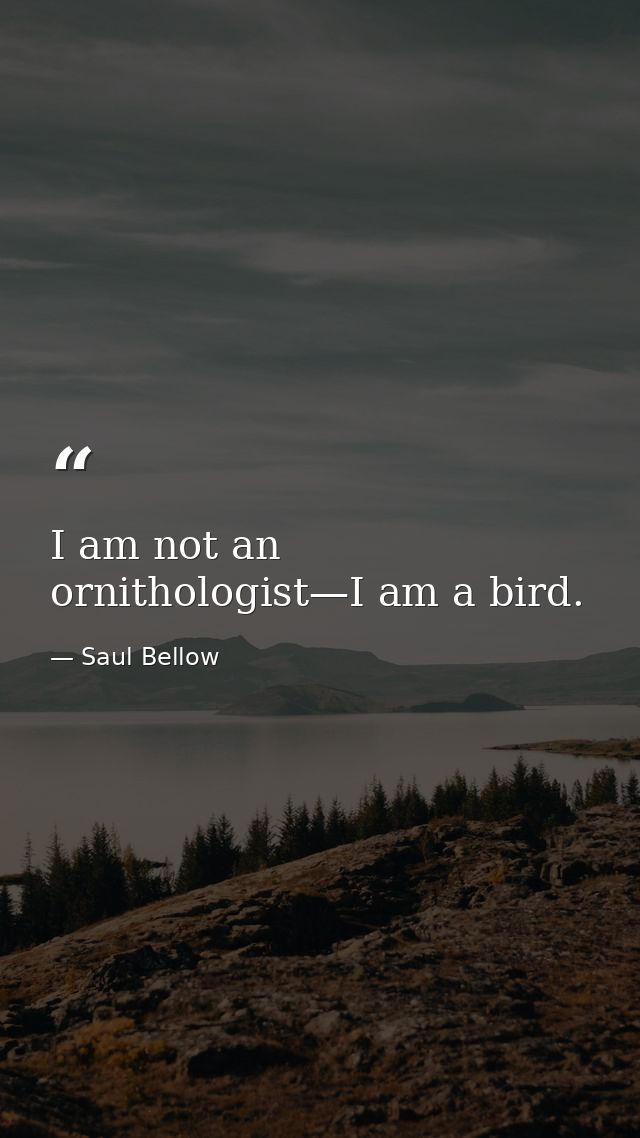 I am not an ornithologist—I am a bird. — Saul Bellow