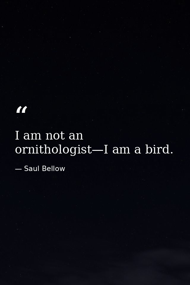 I am not an ornithologist—I am a bird. — Saul Bellow