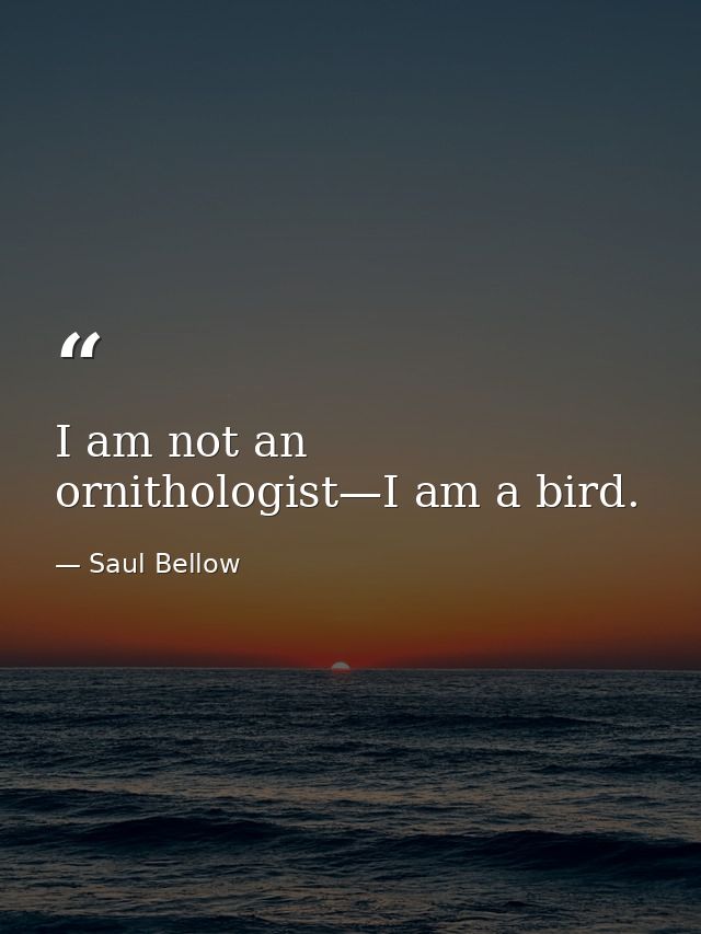 I am not an ornithologist—I am a bird. — Saul Bellow