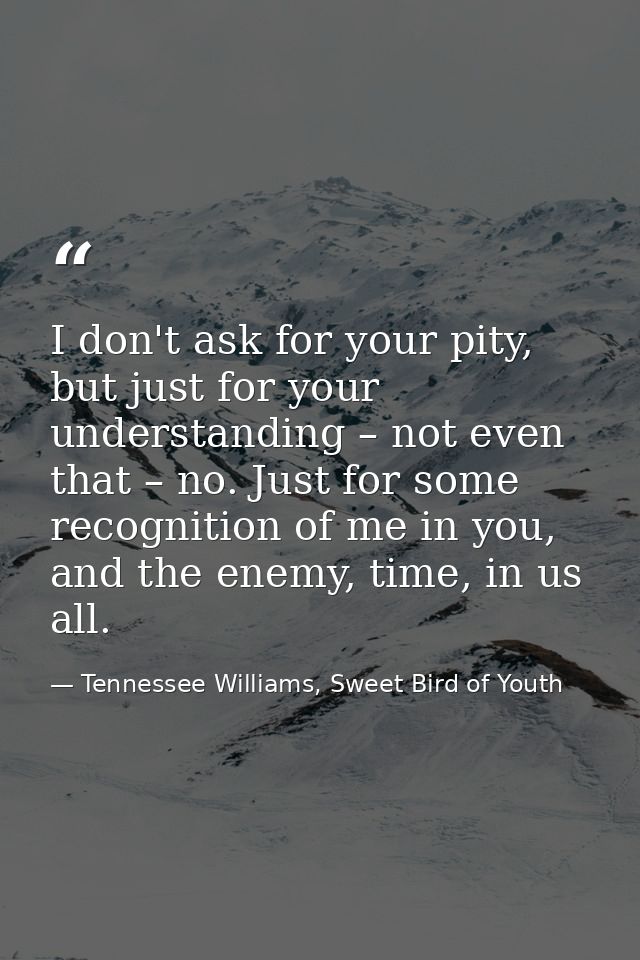 I don't ask for your pity, but just for your understanding – not even that – no. Just for some recognition of me in you, — Tennessee Williams, Sweet Bird of Youth