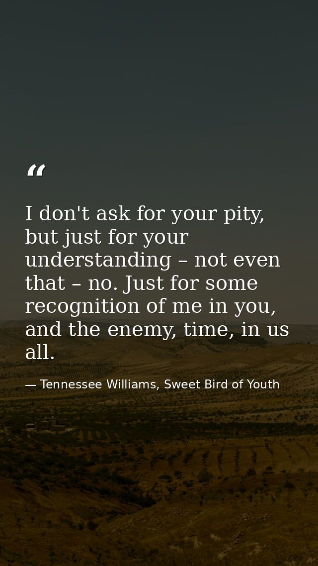 I don't ask for your pity, but just for your understanding – not even that – no. Just for some recognition of me in you, — Tennessee Williams, Sweet Bird of Youth