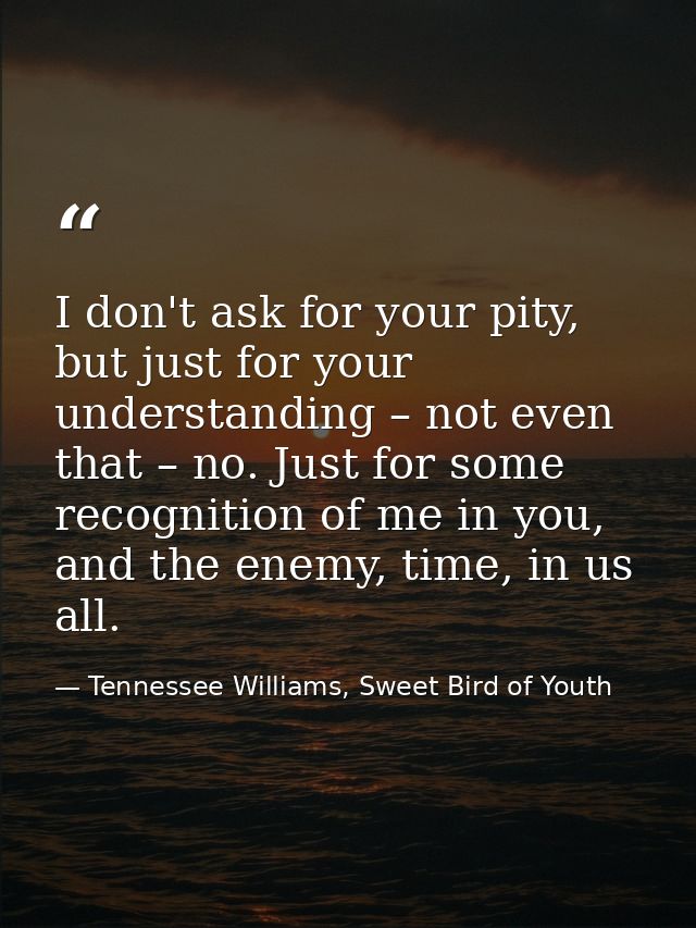 I don't ask for your pity, but just for your understanding – not even that – no. Just for some recognition of me in you, — Tennessee Williams, Sweet Bird of Youth