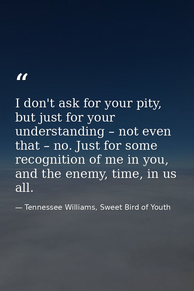 I don't ask for your pity, but just for your understanding – not even that – no. Just for some recognition of me in you, — Tennessee Williams, Sweet Bird of Youth