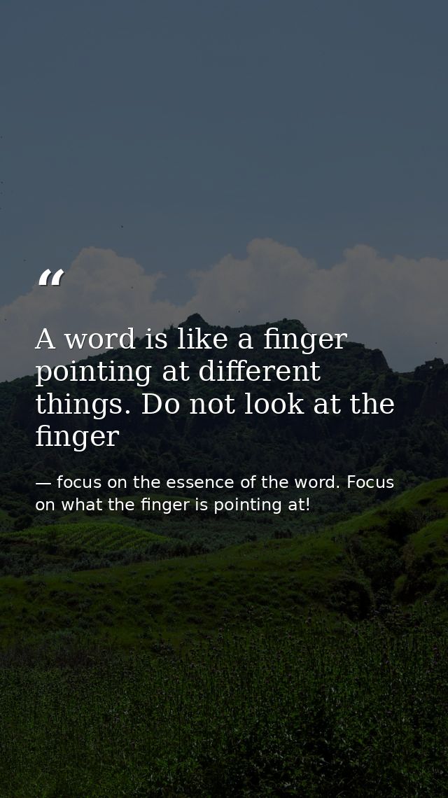 A word is like a finger pointing at different things. Do not look at the finger — focus on the essence of the word. Focus on what the finger is pointing at!