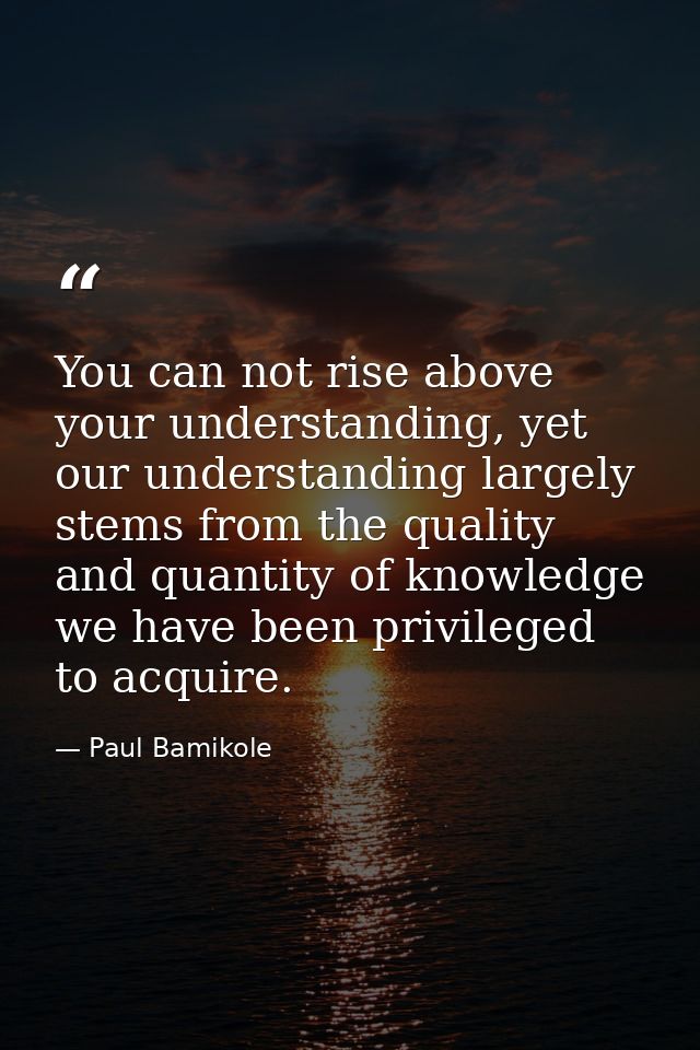 You can not rise above your understanding, yet our understanding largely stems from the quality and quantity of knowledg — Paul Bamikole