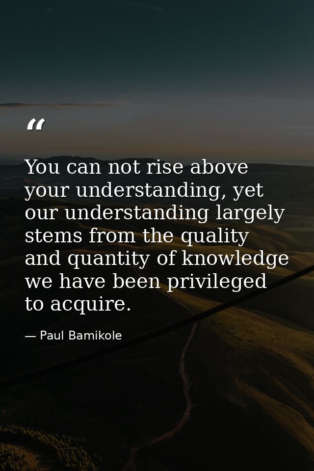 You can not rise above your understanding, yet our understanding largely stems from the quality and quantity of knowledg — Paul Bamikole